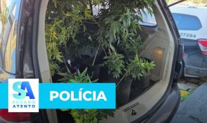 Polícia Civil deflagra “Operação Manuscrito” contra o tráfico e prende quatro pessoas no Litoral Norte