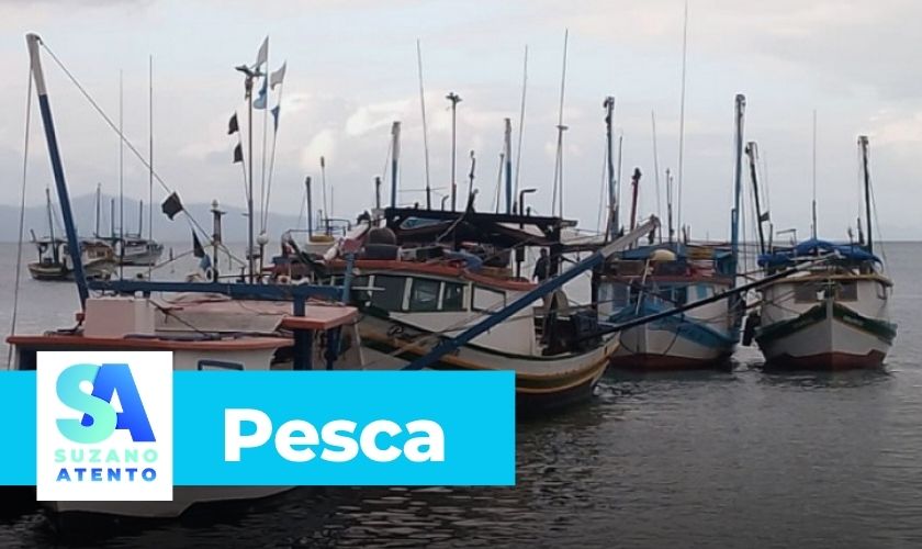 Embarcações passam por vistoria do Ministério da Pesca e Aquicultura em São Sebastião