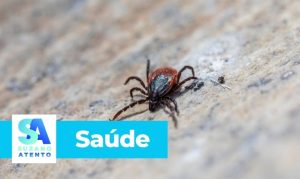 Com 18 mortes por febre maculosa em SP, especialista da UMC alerta para diagnóstico precoce e prevenção